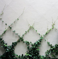 Trellis - Green Wall - Cable Systems