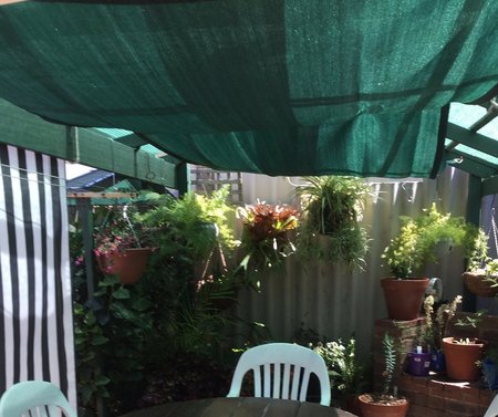Thanks Bill for your photo of your 2x4m Green shade sail. "I wanted this size to be erected inside our existing shade house to give more protection during our scorching summer heat not only to protect us but also the plants."\\n\\n29/12/2015 9:16 PM
