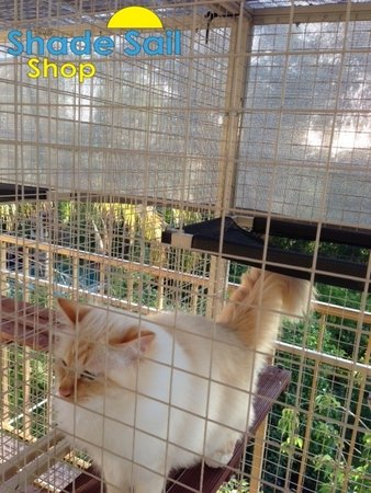 2x4 dark grey shade sail used here to screen a cat enclosure - adding shade and cooling the area down- Jenny Edwards\\n\\n30/01/2015 3:40 PM