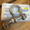 8mm Bow Anchor Shackle Bolt Pin 316 Stainless Steel BL 2926