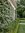 Flexible Net Clip 5mm for Green Wall Projects