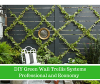 Garden Green Wall Trellis Systems