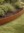 550mm x 2200mm Flexible Raised Garden Bed Edging Corten Steel