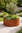 400mm x 600mm Corten Steel Weathered Circular Planter