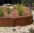 250mm x 600mm Corten Steel Weathered Circular Planter