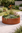 400mm x 900mm Corten Steel Weathered Circular Planter