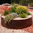 400mm x 1200mm Corten Steel Weathered Circular Planter