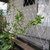Architectural Mesh Architectural Mesh