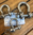 10mm Bow Anchor Shackle Bolt Pin 316 Stainless Steel BL 4609